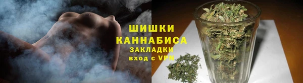 шишки Белоозёрский