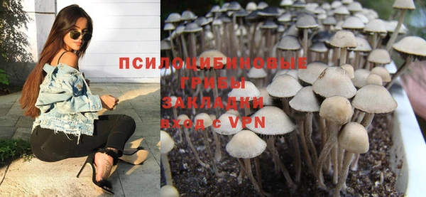 шишки Белоозёрский