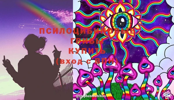 шишки Белоозёрский