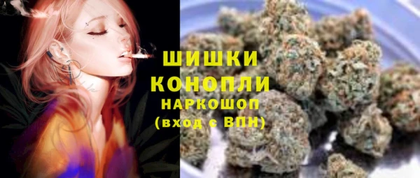 шишки Белоозёрский